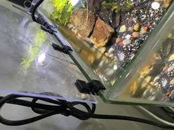 Aquarium Lid Hinge