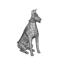 Doberman Doberman