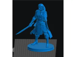 Elf Fighter Male 2