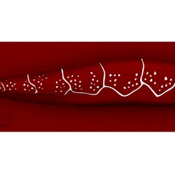 Lure Stencil - Mb 98 (Jr) - Craw 25