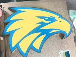 West Coast Eagles Lightbox