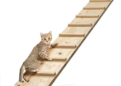 Stealth Cat Step Beam