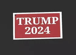 TRUMP 2024 keychain 3D print model