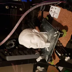Will.i.am 3d bust (fixed bottom)