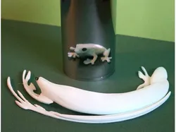 Anamorphic Frog
