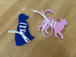 Cat and Dog Shoelace Trainers