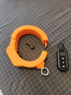 Collar with shocker insert