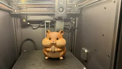 Cute Hamster With Seed Cute Hamster With Seed