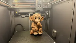 Cute Monkey Pondering Cute Monkey Pondering