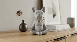 French Bulldog in Lotus Pose