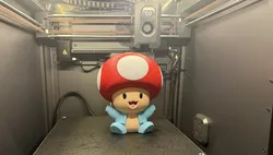Toad