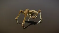 ARACK ANIMATIONS