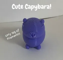 Cute Capybara