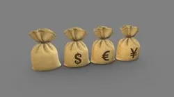 Money Bag