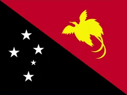 papua new guinea flag CG Textures in Fabric 38332