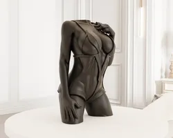 Seethroughlingerisexy