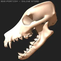 dog skull