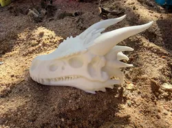 Dragon skull, fantasy dragon