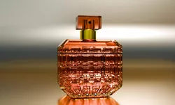 Luxury perfume bottle 3D model