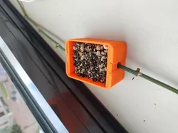 Open Plant Propagation Box