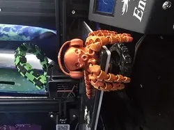 Phill Beyer flexi octopus