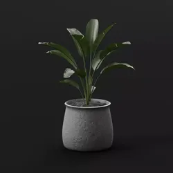 Planter 3D model