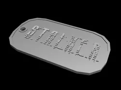 Stalker military badge