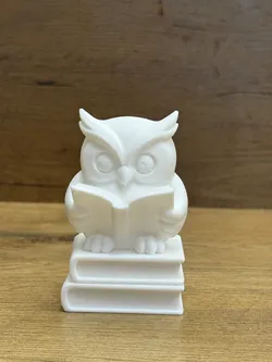 Wise Owl Reading Buddy 2/3