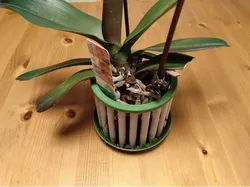 Aerated planter for orchids