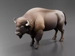 Bison 3D print model