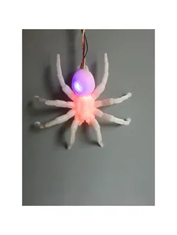 Hanging Spider
