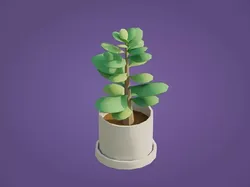 Jade Plant  Low-poly 3D model
