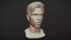 Male Head with Hair