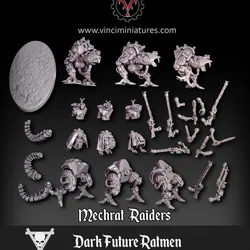 MECHRAT RAIDERS