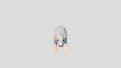 Rat