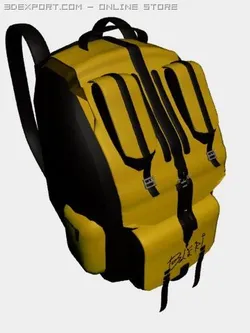 school bag