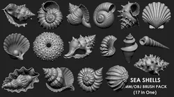 SEASHELLS 17 IN ONE  IMM OBJ BRUSH 3D model