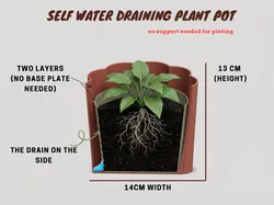 Self watering Plant Pot