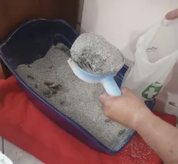 sturdy cat litter scoop