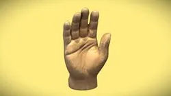 Toy Hand Scan