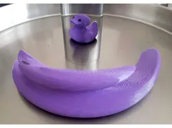 Anamorphic Rubber Duck