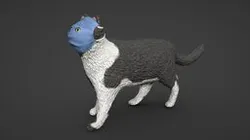 cat wearing a mask