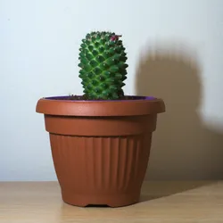 FIRENZE 13cm planter insert