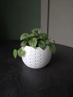 Geometric Planter Pot for Plants
