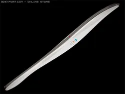 olympic torch 2010