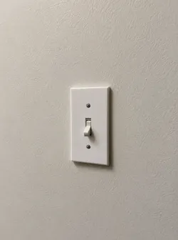 Plain light switch cover