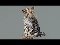 Rigged Leopard Cub Low-poly 3D model