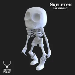 Skeleton (standing)