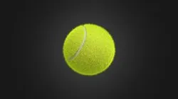 Tennis Ball