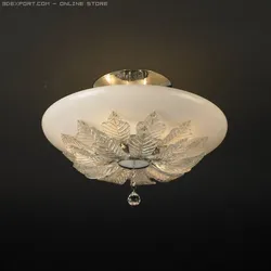 010lamp0101